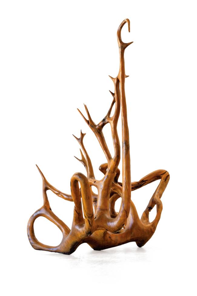 Árvore da vida: galhos e troncos em estado bruto