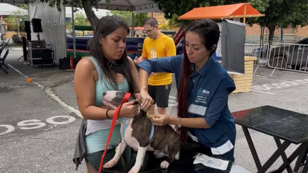Mais de 120 postos vão aplicar vacina contra a raiva em cães e gatos