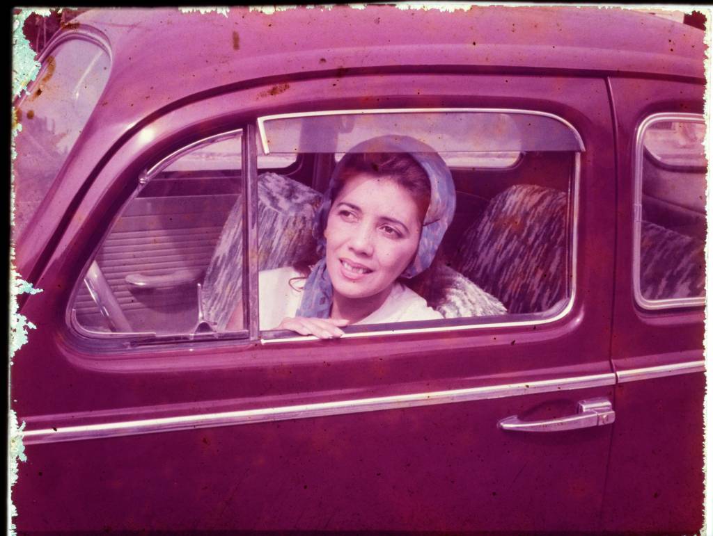 Selfie analógica: pioneira da fotopintura, Telma Saraiva exibe obra no MAR