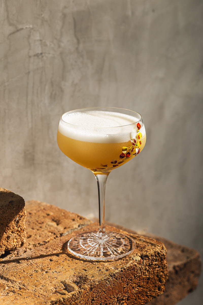 Vidah_flor da vidah divulga