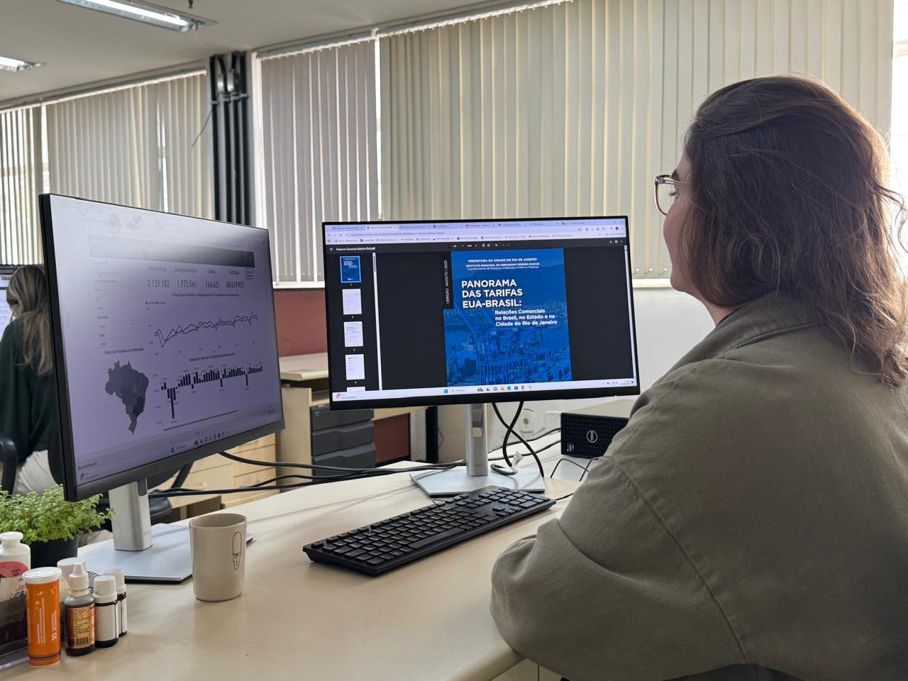 IPP divulga estudo sobre tarifa&ccedil;o de Trump