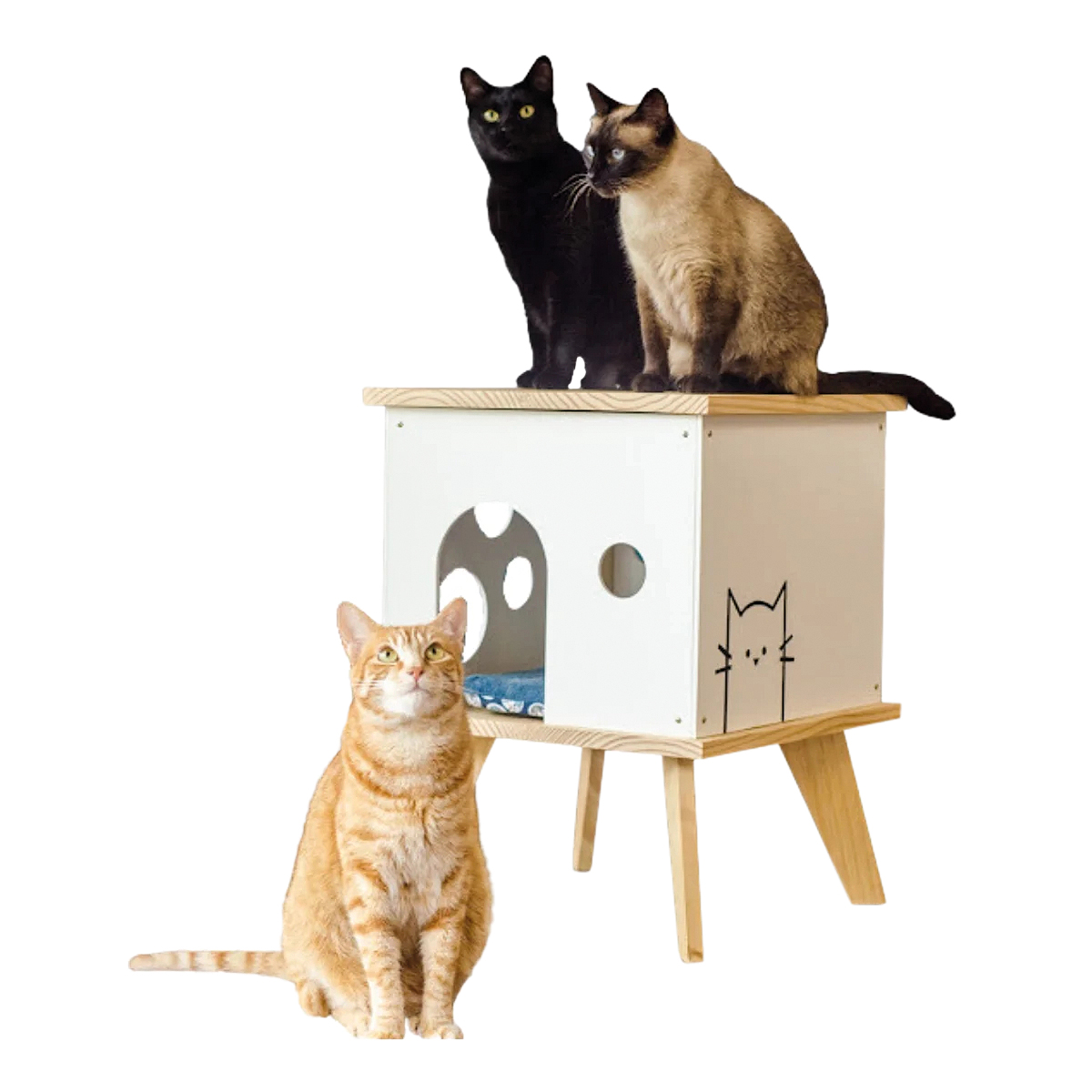 Casinha para gatos