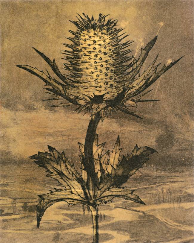 Muitas Camadas: francesa Sophie Zenon sobrepõe vídeo, foto e instalação