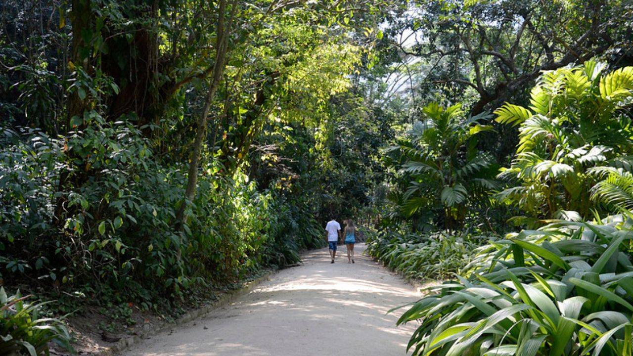 Jardim Botânico vai expor pedra de 700 quilos vinda da China