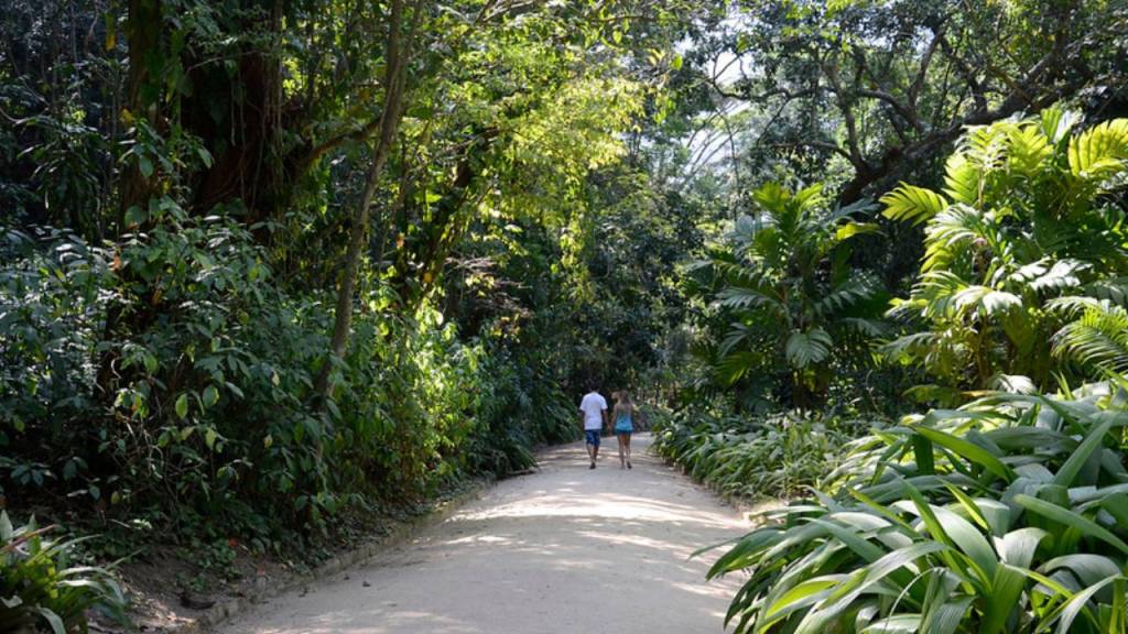 Jardim Botânico vai expor pedra de 700 quilos vinda da China