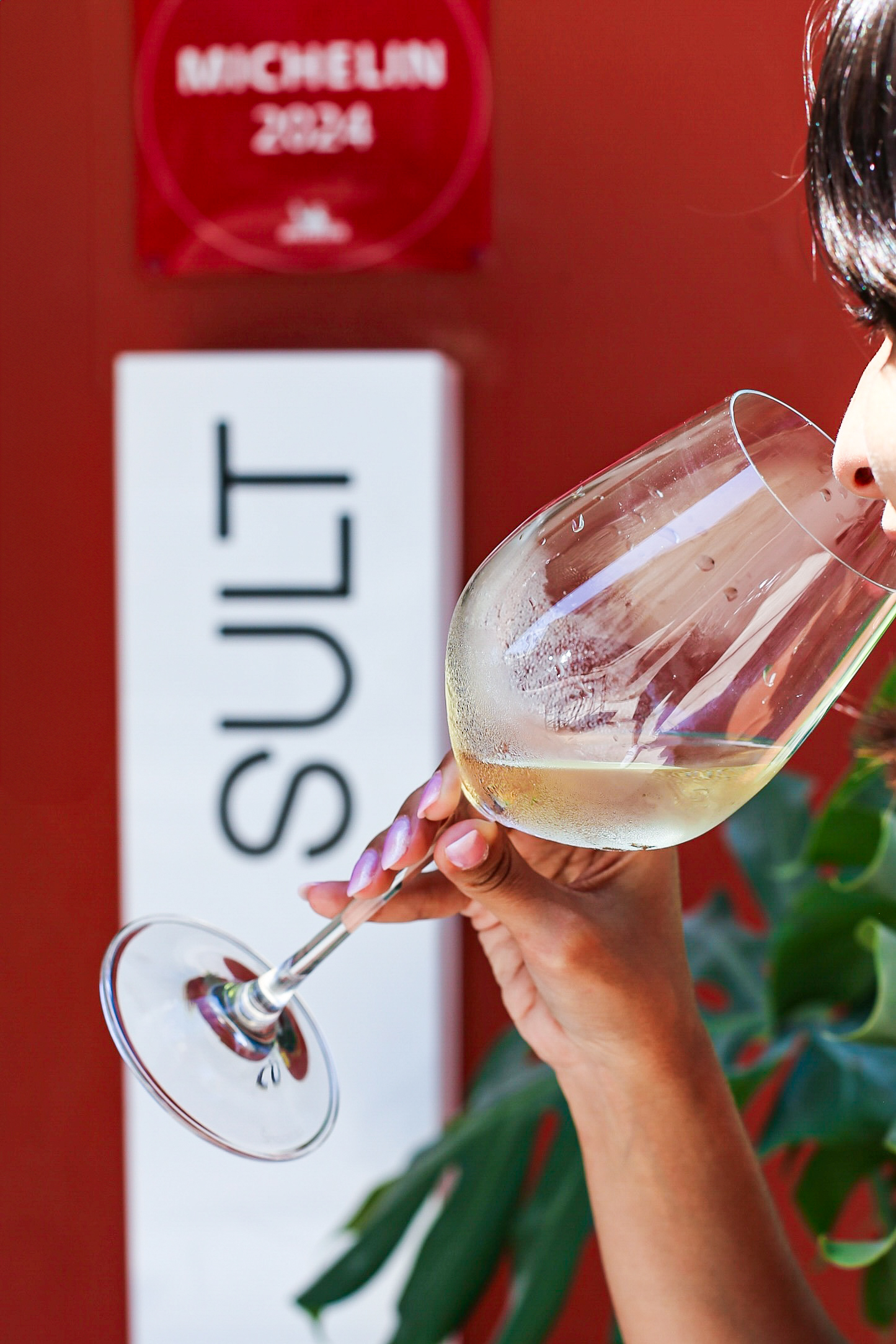 Evento de harmoniza&ccedil;&atilde;o no restaurante Sult