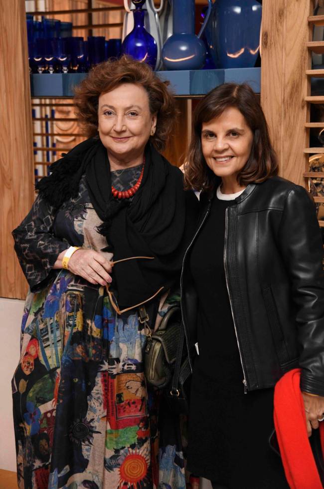 Margareth Dalcomo e Angela Falcão