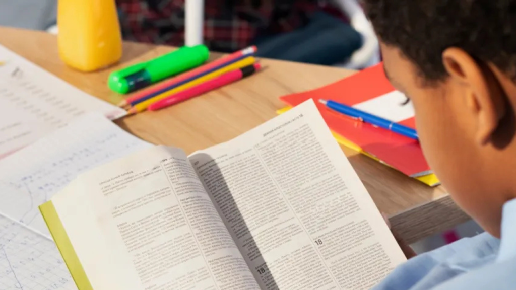 Instituto Pretos Novos, na Gamboa, lança clube de leitura infantil