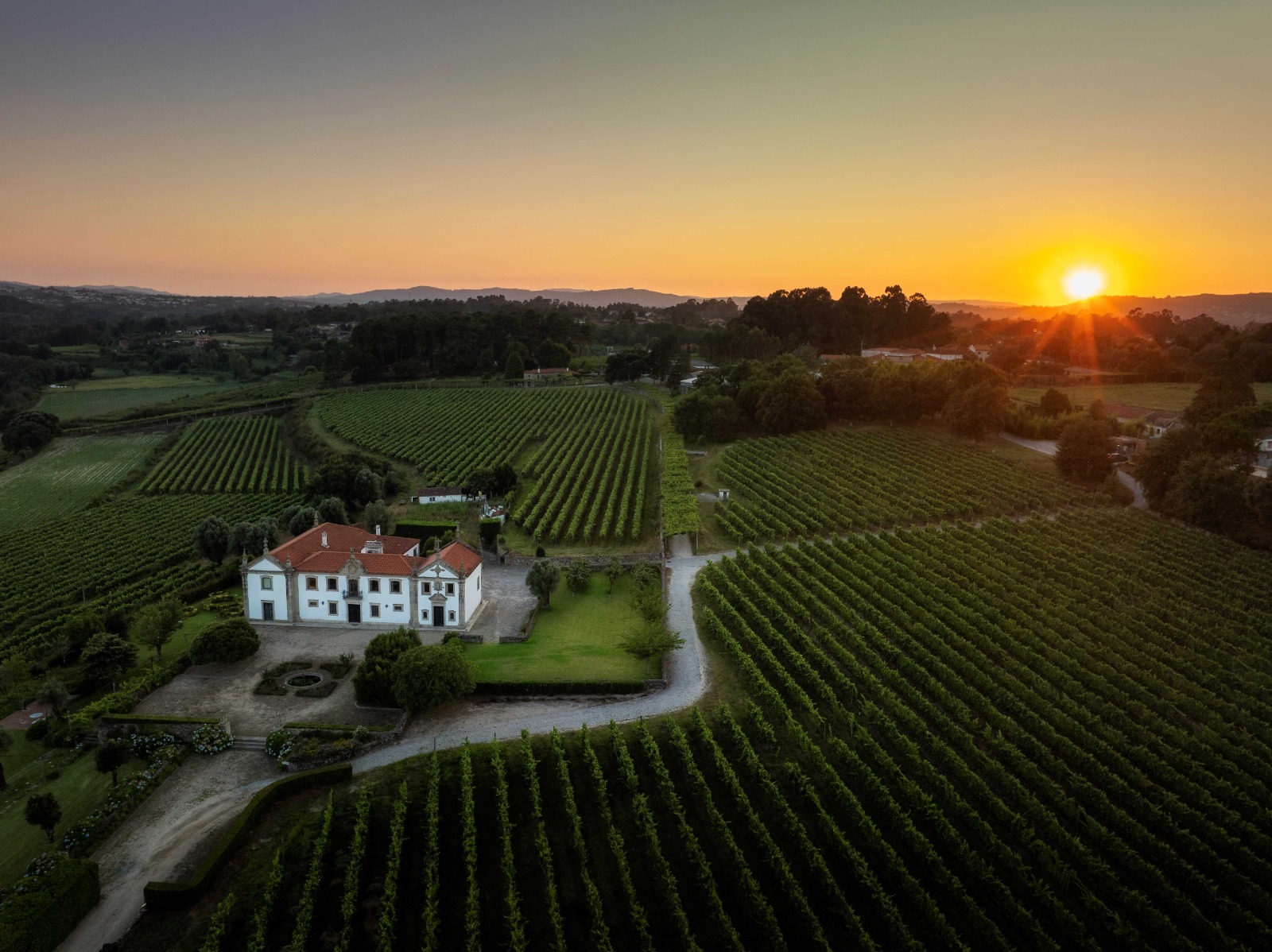 Vinhos & Sabores de Portugal
