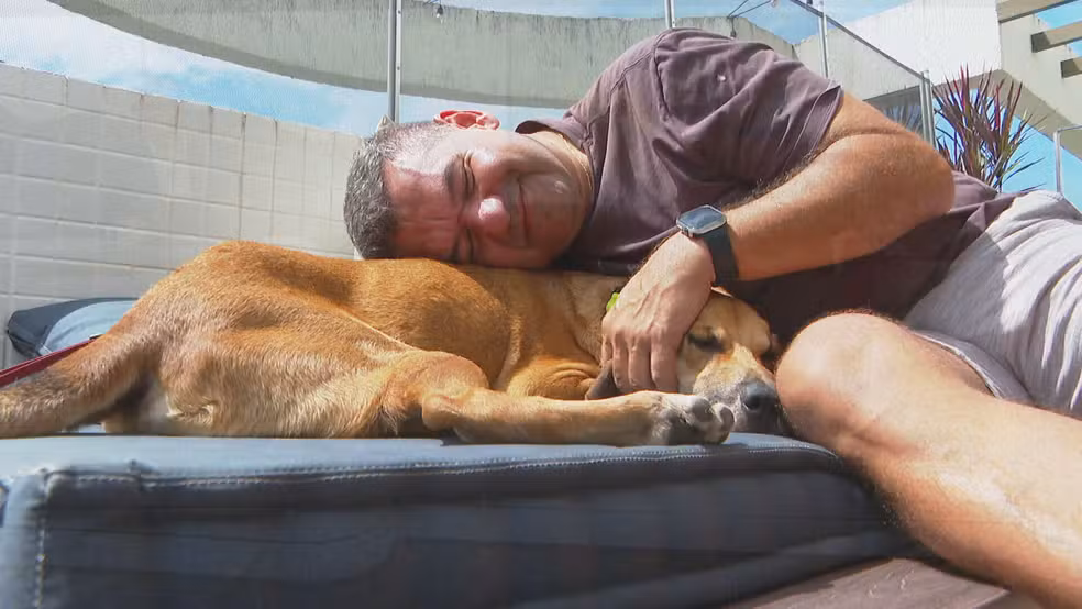 Final feliz para Busão: cachorro abandonado no BRT é adotado