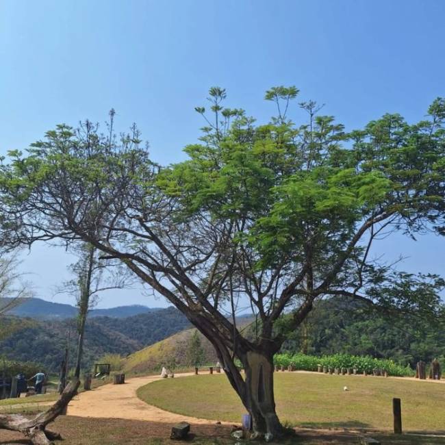 uana ete Uaná-Etê em Paulo de Frontin