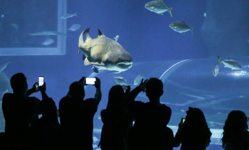 Visitantes registram vazamento no AquaRio. Veja o vídeo!