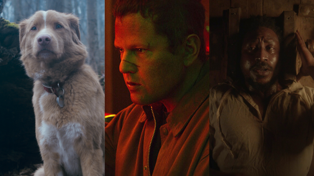 Terror com Selton Mello e mais estreias de Halloween nos cinemas