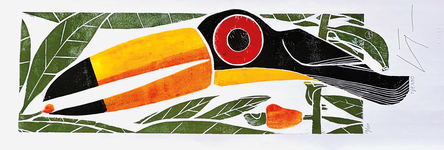 Tucano-Xilogravura.jpeg