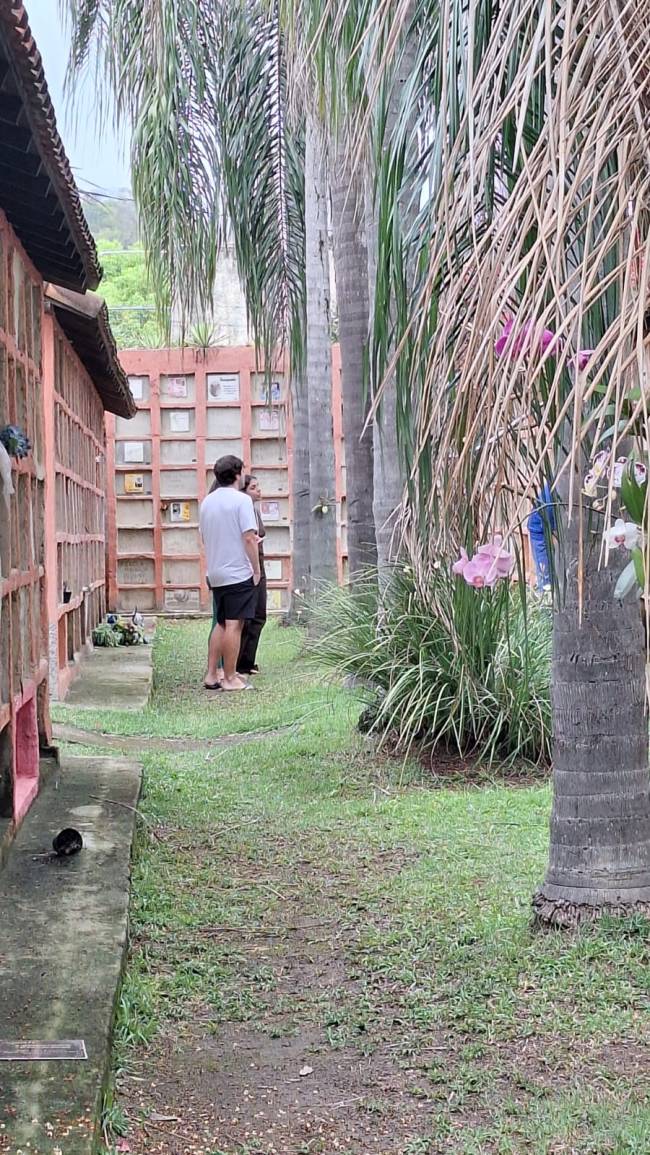 Pessoas em pé na grama em um cemitério vertical