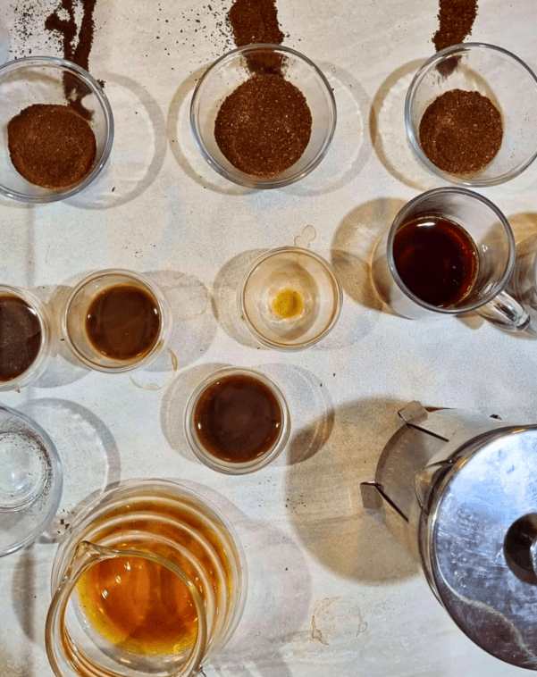 Artemis Torrefação