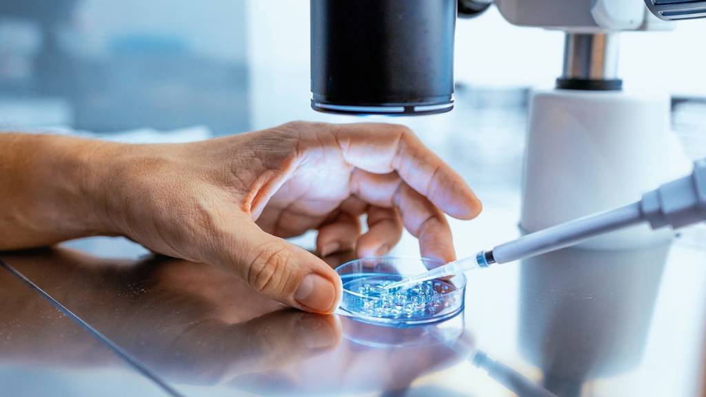 Uma bula para cada um: medicação customizada reduz efeitos e acerta a dose
