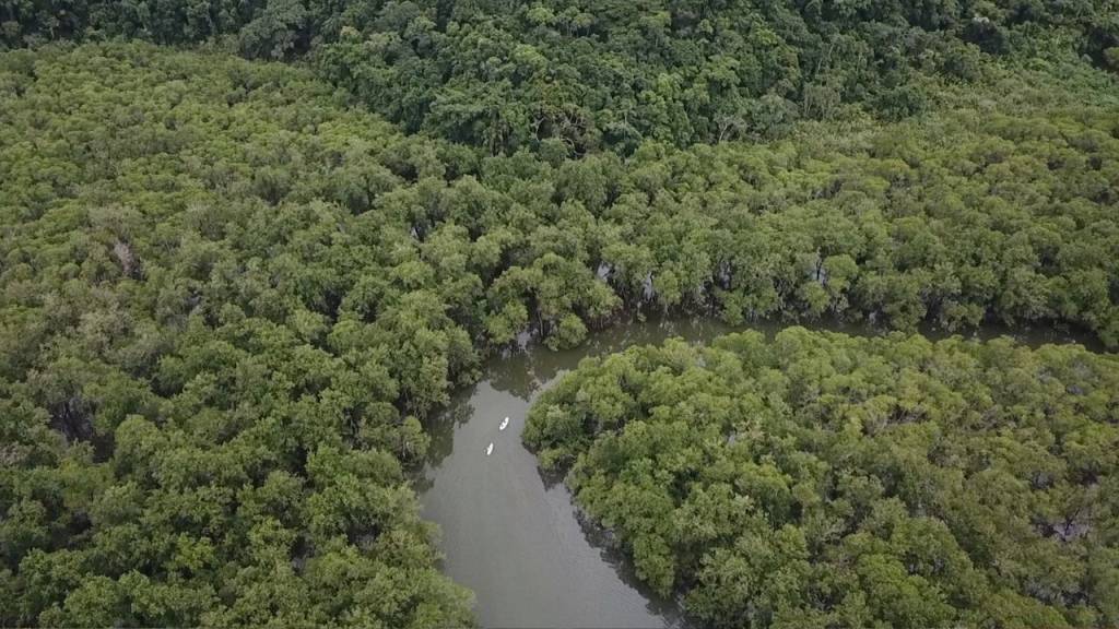 Datas, dates e o 11/11 como portal para curar o planeta Terra