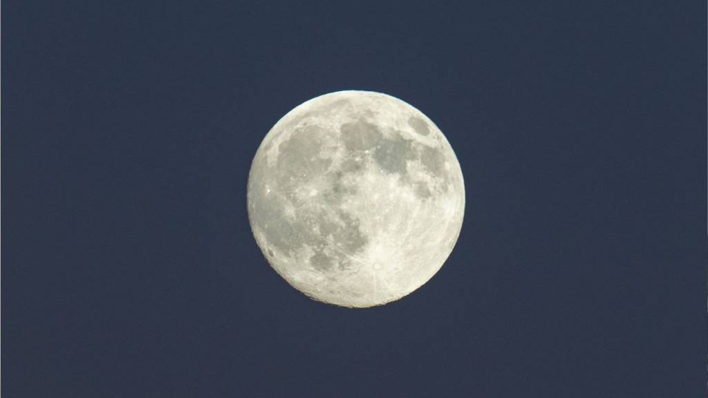 Escorpião em alta! Hora de faxina astral em novembro