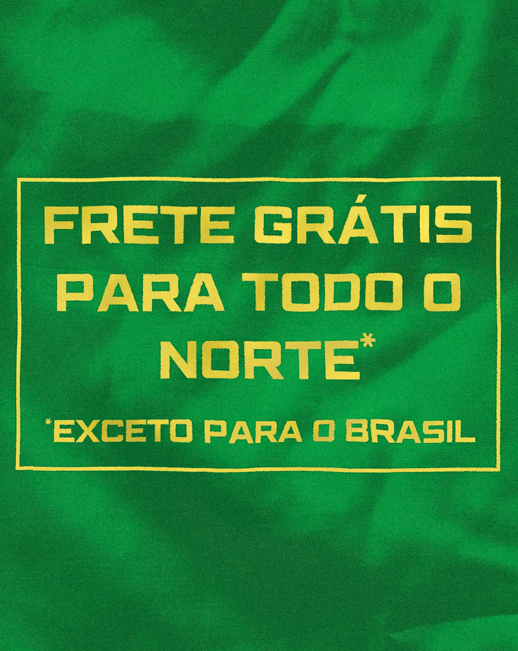 Obra-Manifesto: Bandeira de Rafael Pinto questiona a exclusão da região Norte do Brasil