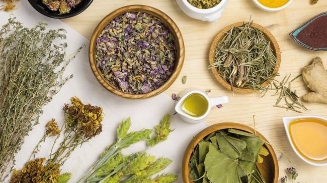 Museus têm atividades infantis gratuitas na semana da Consciência Negra