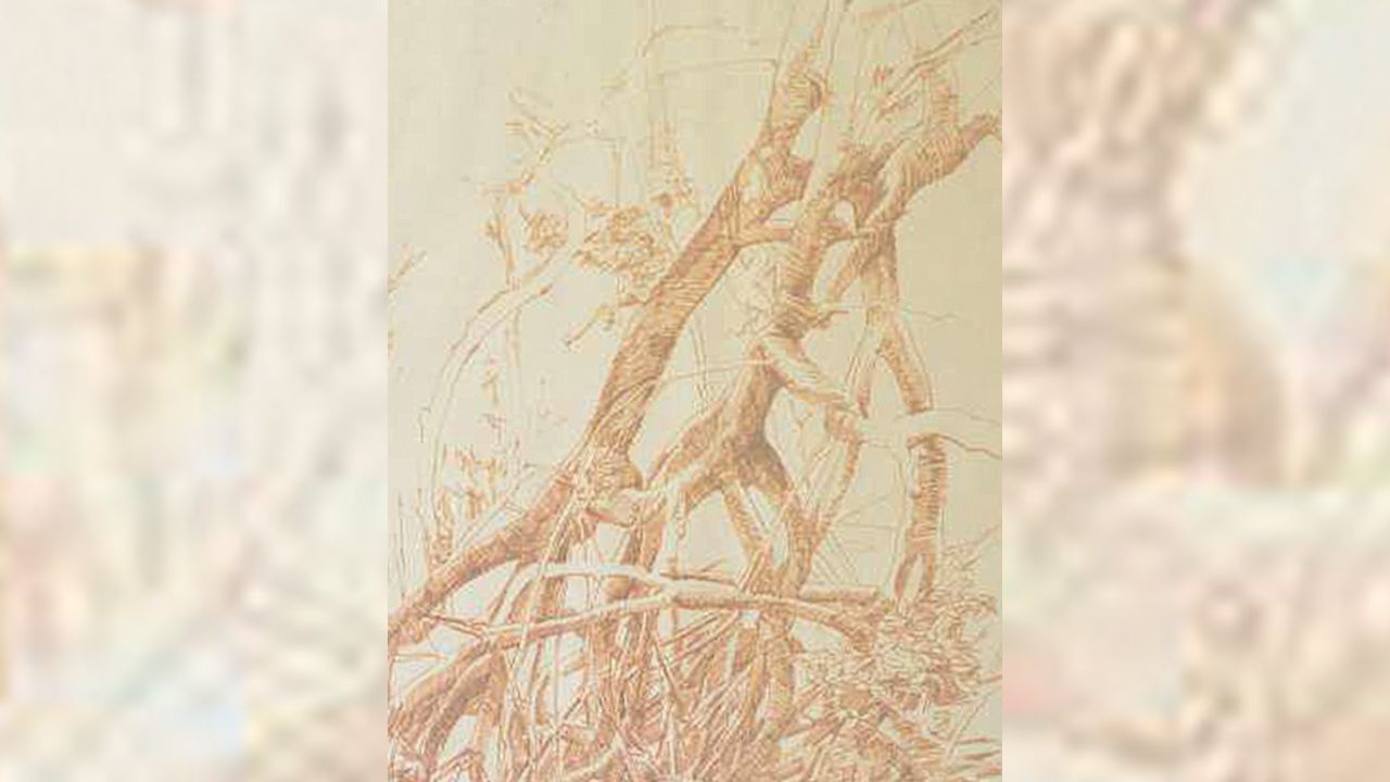 fotos frans Krajcberg/acervo pessoal