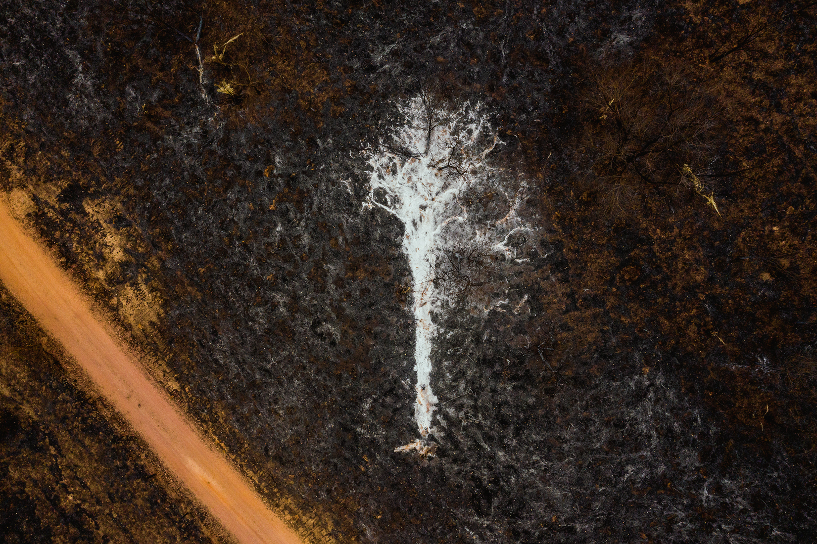 4 - Museu do Amanh&atilde;.jpg