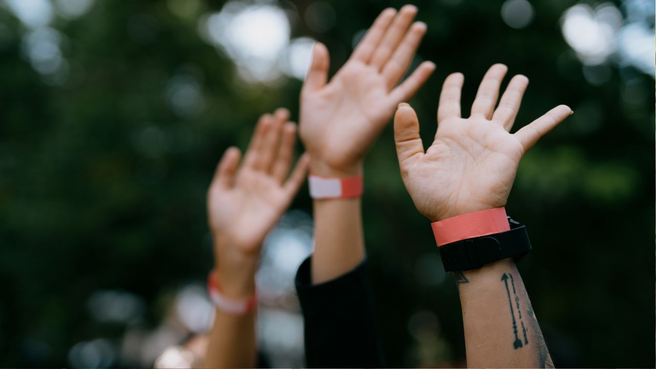 pulseiras de identificação