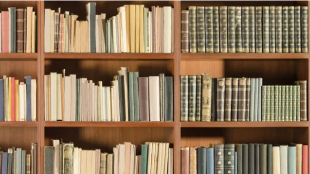 Fungos colocam em risco documentos do Arquivo Nacional