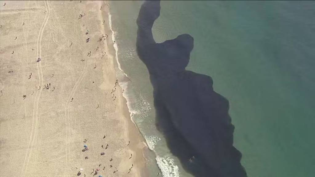 Nas praias do Leme e Arpoador, banhistas nadam próximo a cardume