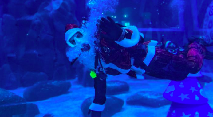 Saiba em quais dias encontrar o Papai Noel mergulhador do AquaRio