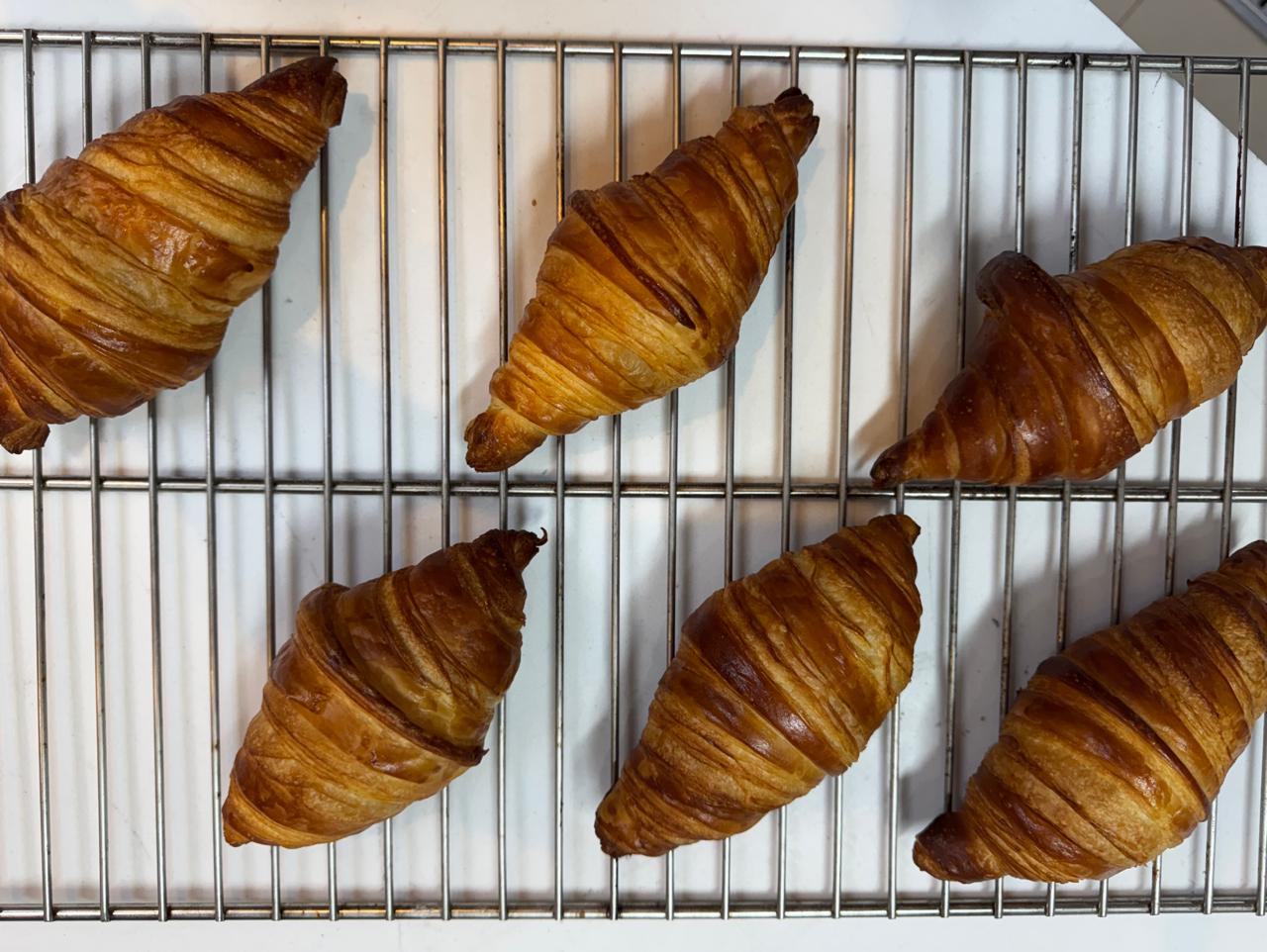 WhatsApp Image 2025-12-17 at 15.40.00