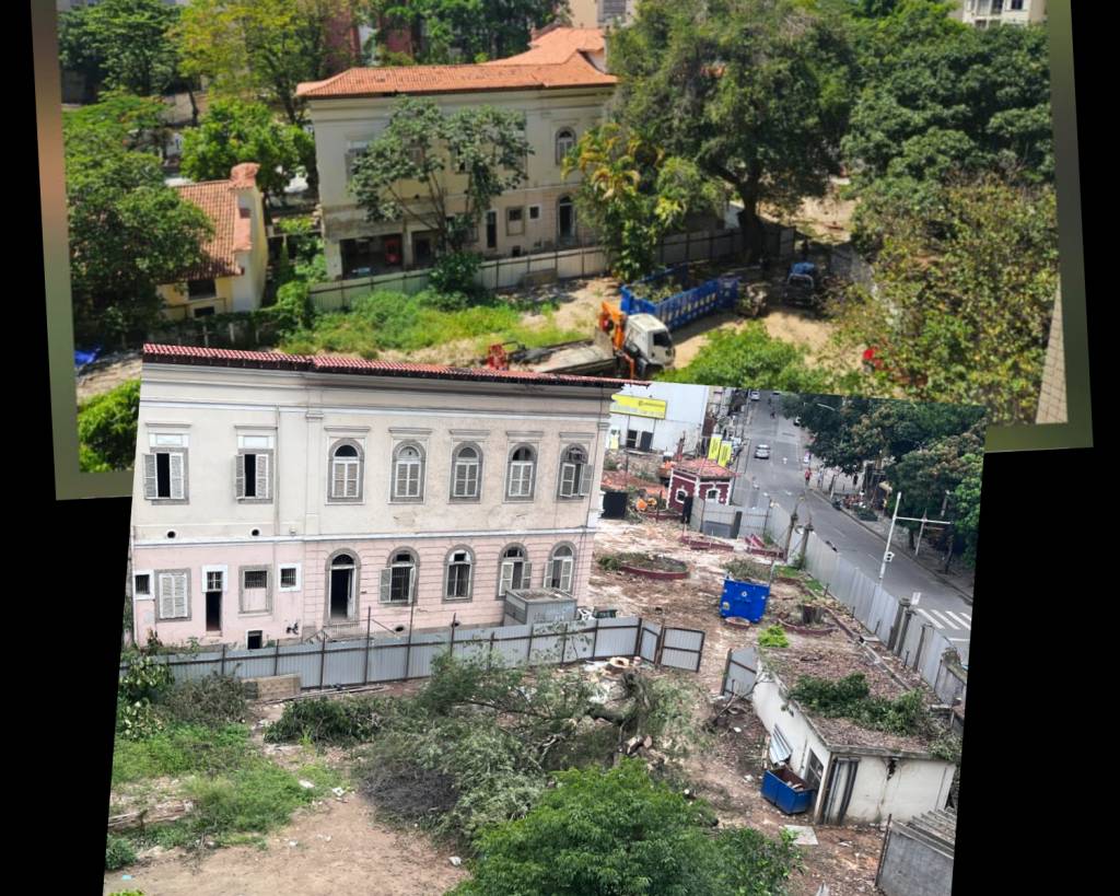 Bennett: moradores do Flamengo choram de tristeza com derrubada de árvores