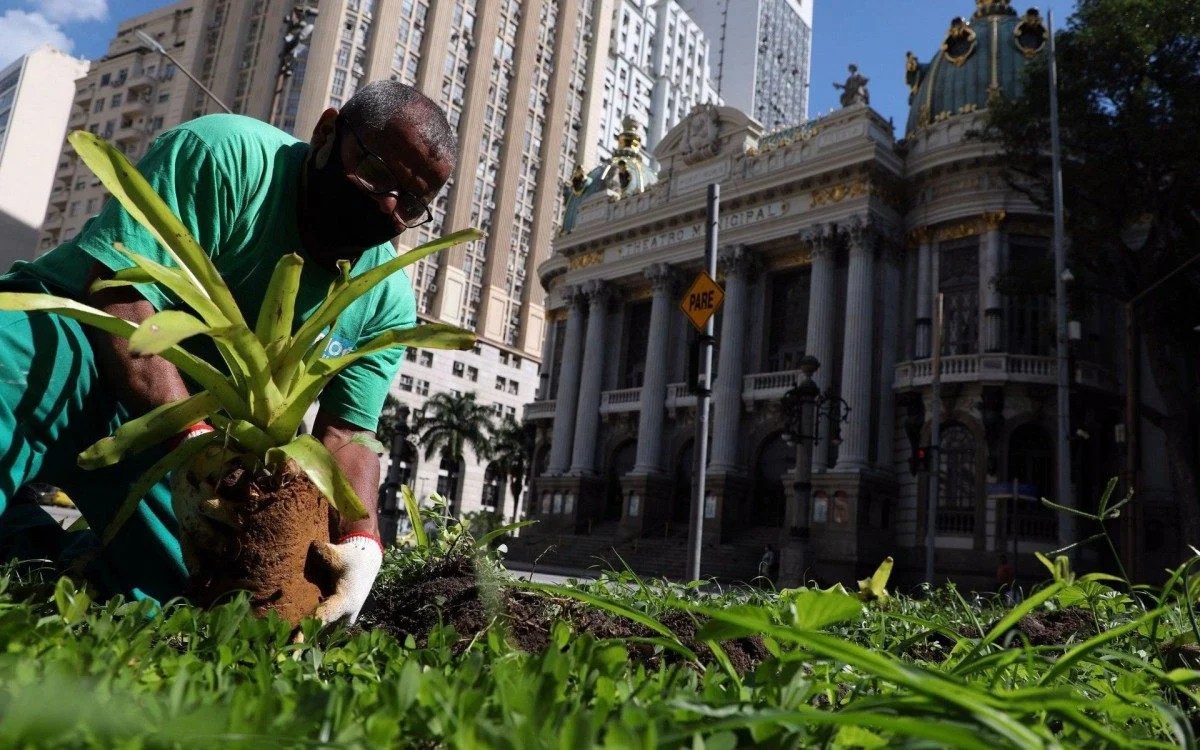 Em 46 dias, Prefeitura recebe 1.681 pedidos de plantio de árvores
