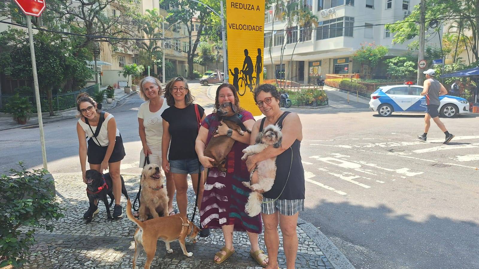 Amigos Peludos resgata e cuida de cachorros abandonados em Laranjeiras