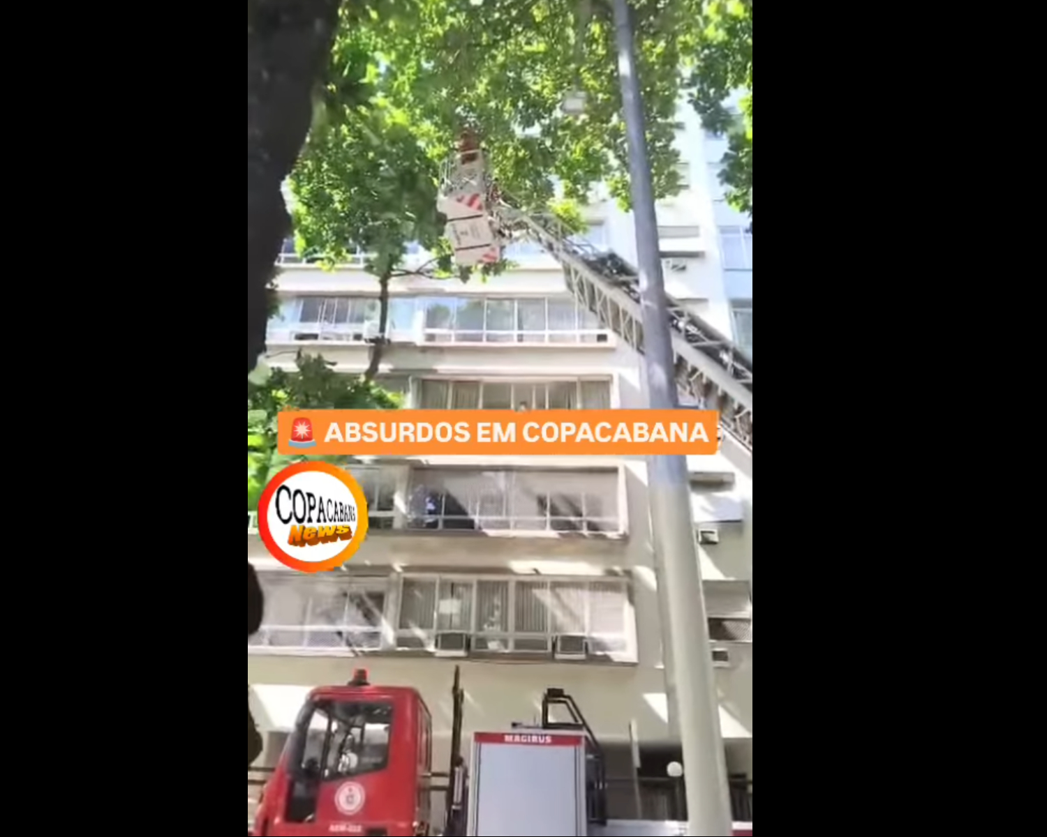 Bombeiros foram retirar a porta que ficou agarrada na árvore