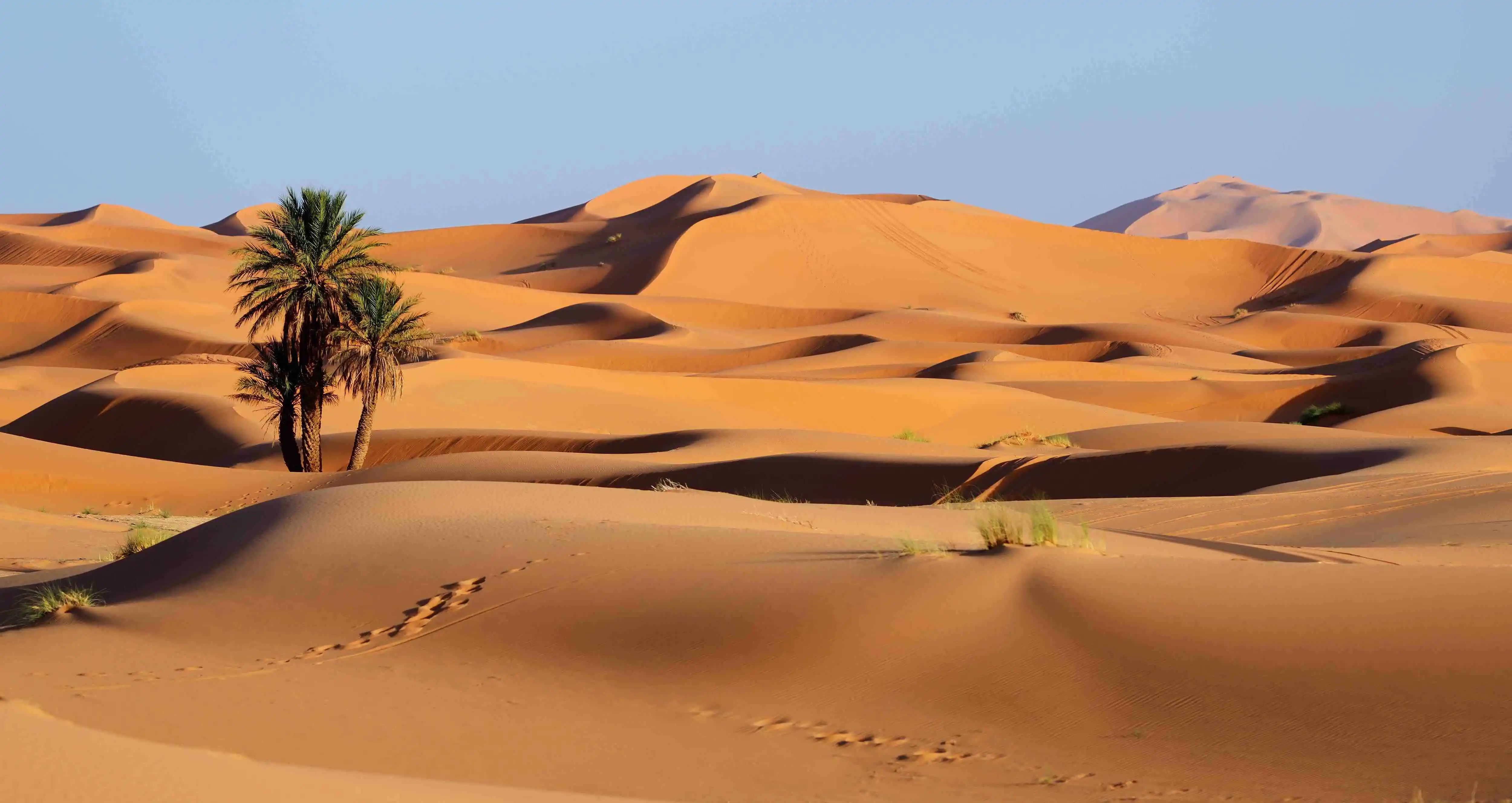Sahara-Desert