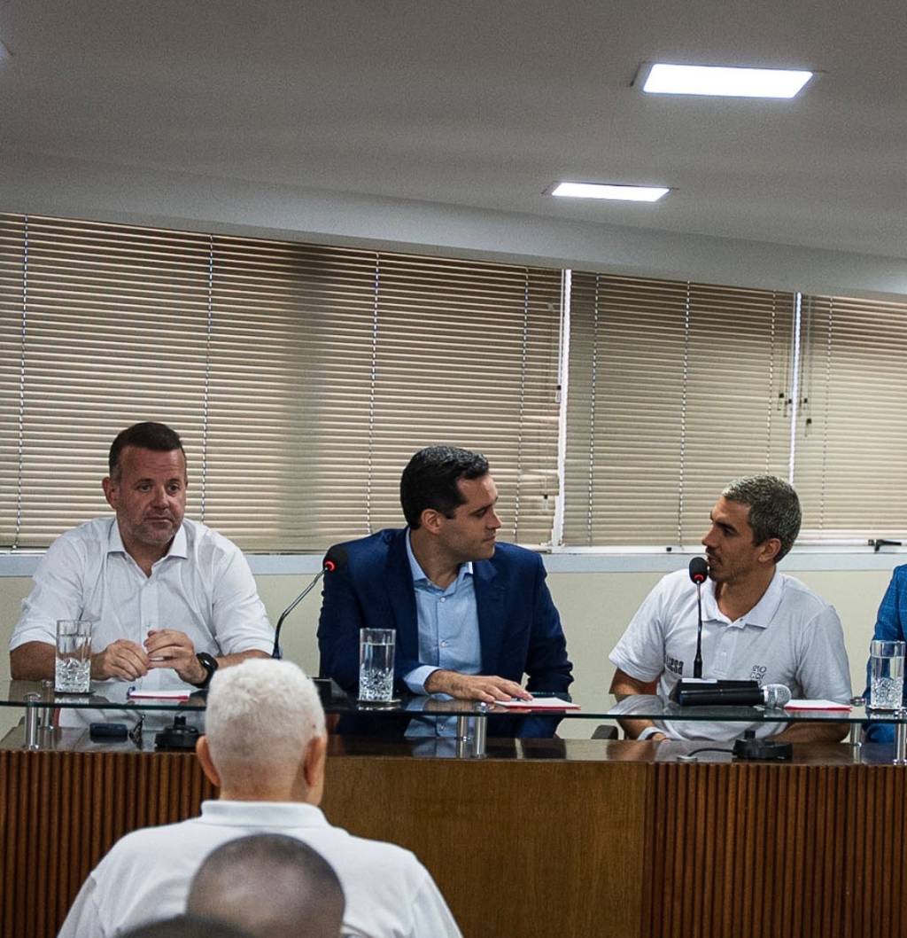 Rumo a 15 escolas, Liesa redesenha o futuro do Grupo Especial