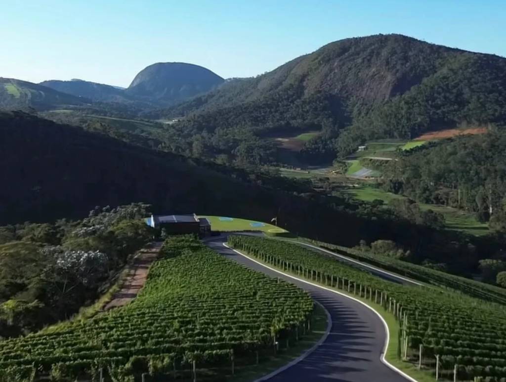 Vinhos fluminenses viram tema de congresso na Alerj  