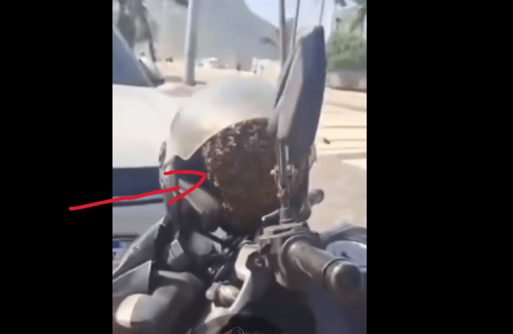 Anti-furto natural: abelhas tomam capacete no Leme e vídeo viraliza 