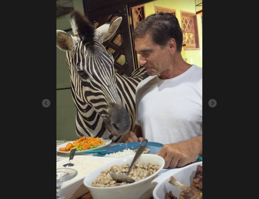O ator Victor Fasano almoça com uma zebra. Que tal? (vídeo)