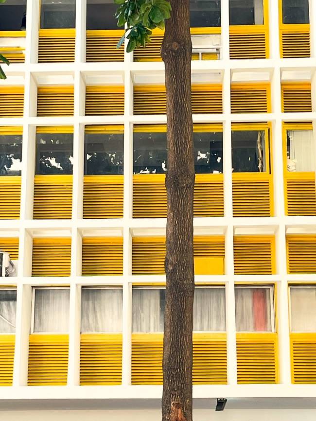Fachada de pr&eacute;dio com estrutura quadriculada branca e janelas amarelas, algumas com persianas horizontais. Um tronco de &aacute;rvore marrom com folhas verdes se destaca em primeiro plano, &agrave; direita.
