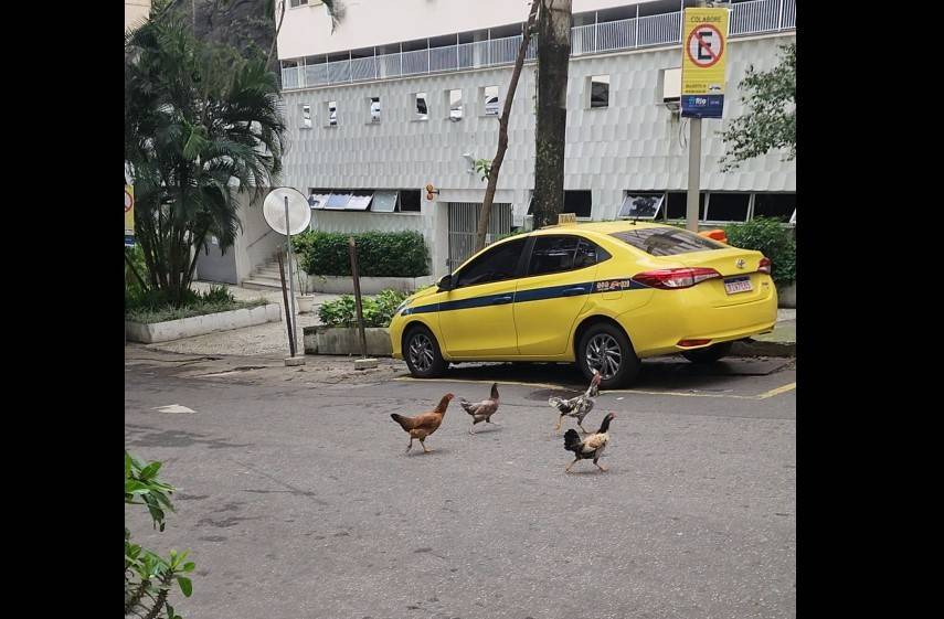 Os moradores de Ipanema que não pagam um tostão de IPTU