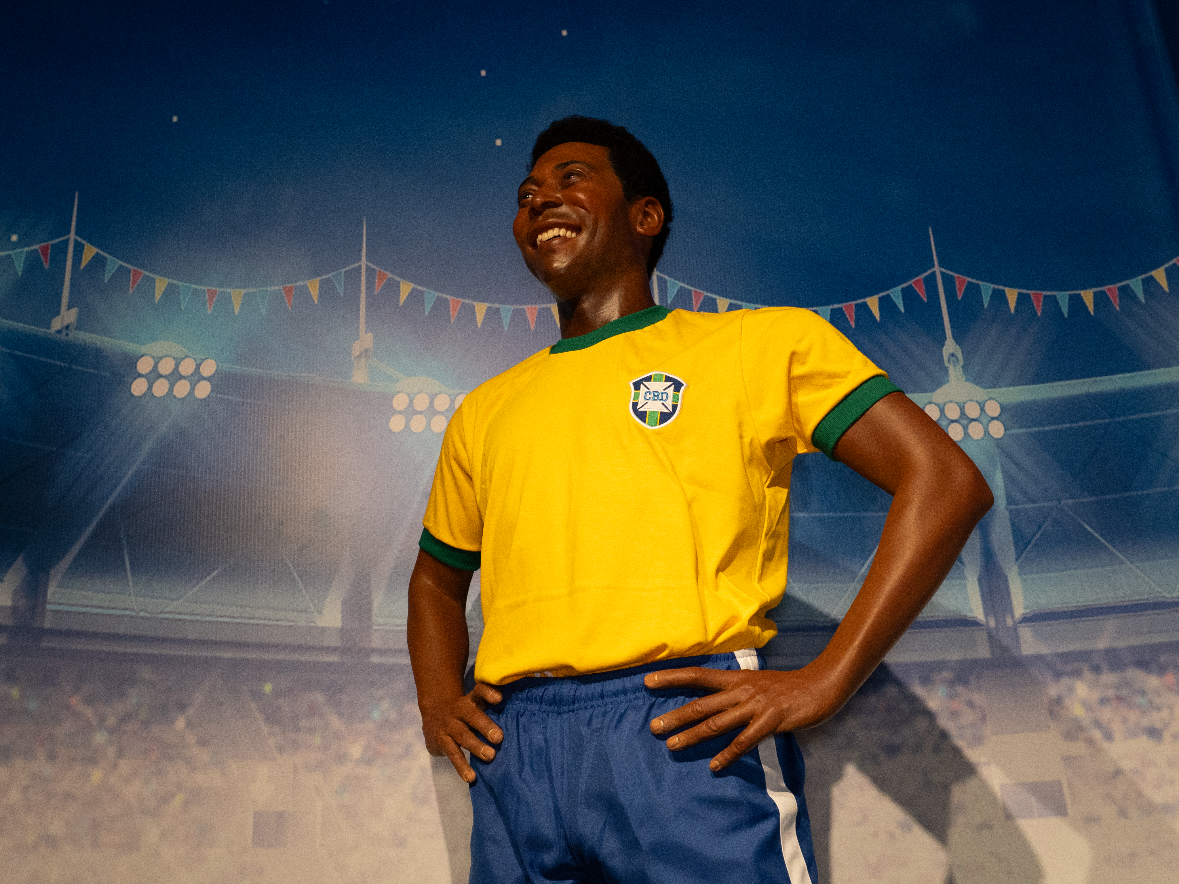 AquaRio: chegada de Pelé, troca de figurinhas e tubarão-oráculo