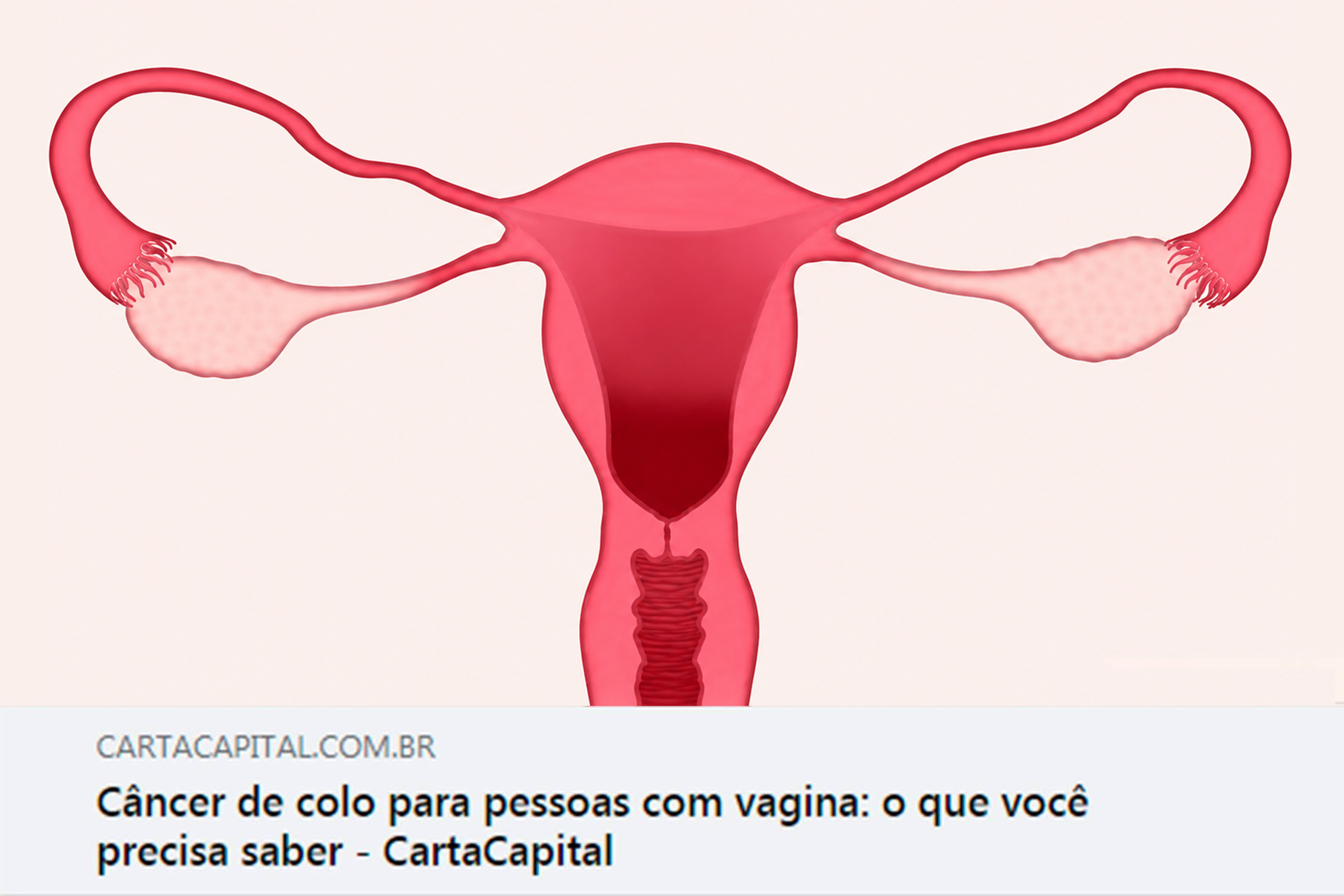 Crônica, por Eduardo Affonso: E Deus não fez homem e mulher