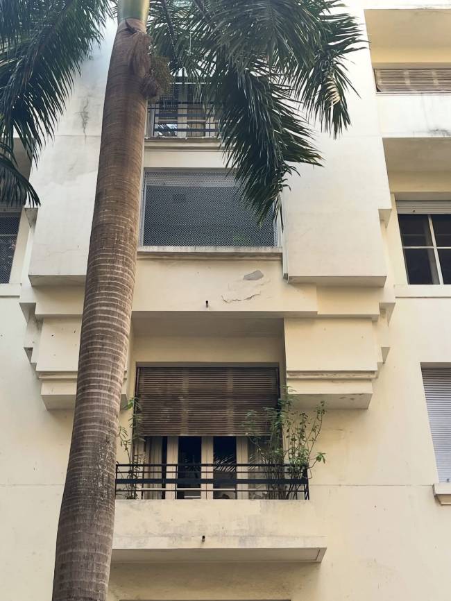 Fachada de um pr&eacute;dio antigo de cor creme com uma palmeira alta em primeiro plano. O pr&eacute;dio tem janelas com persianas e grades, e um pequeno balc&atilde;o com plantas no andar inferior. A pintura da fachada mostra sinais de desgaste