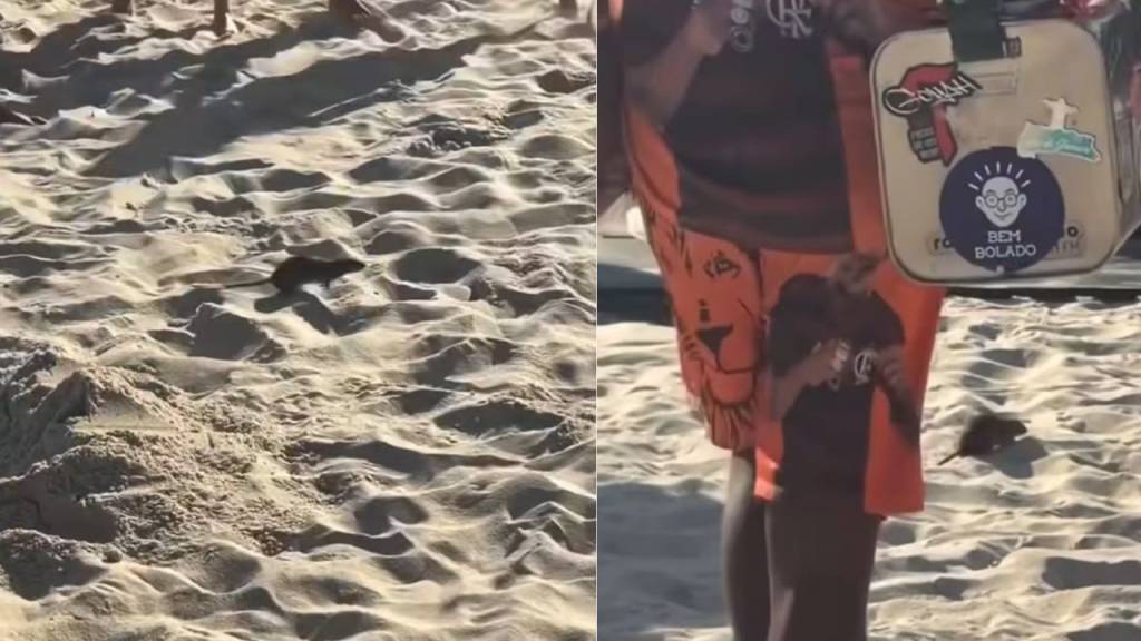 Rato gigante corre pela Praia do Leblon e assusta banhistas