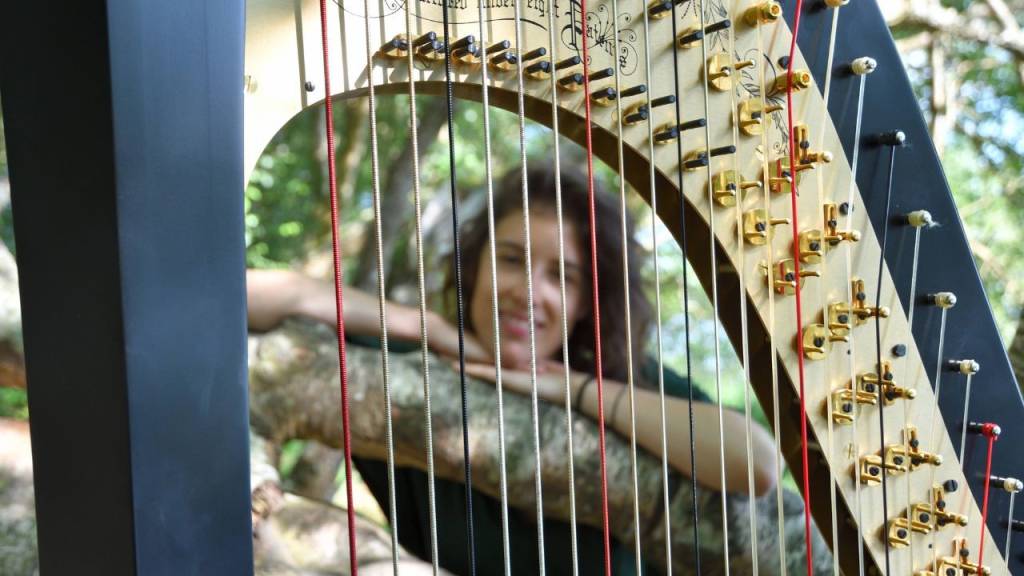 É grátis! As principais atrações do RioHarpFestival, com 58 concertos