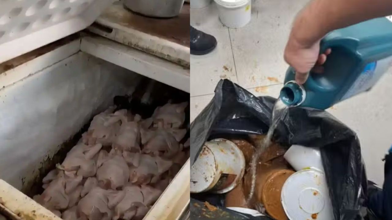 Insetos e alimentos vencidos fazem padaria na Zona Norte ser interditada